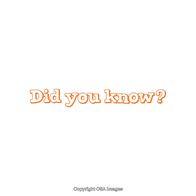 Minimalist Orange Text Highlighting Trivia Facts on White Background