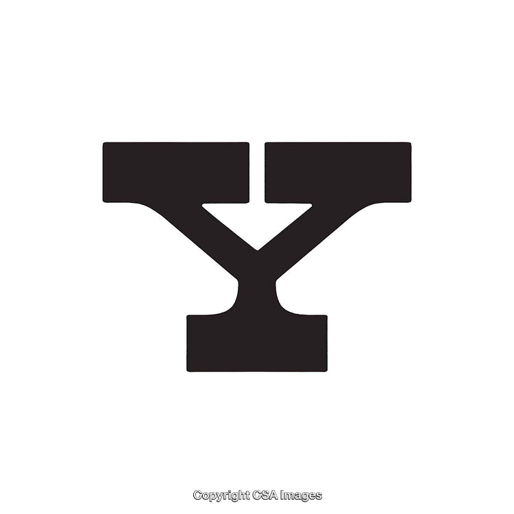 Black Serif Letter Y in Bold and Stylized Typeface
