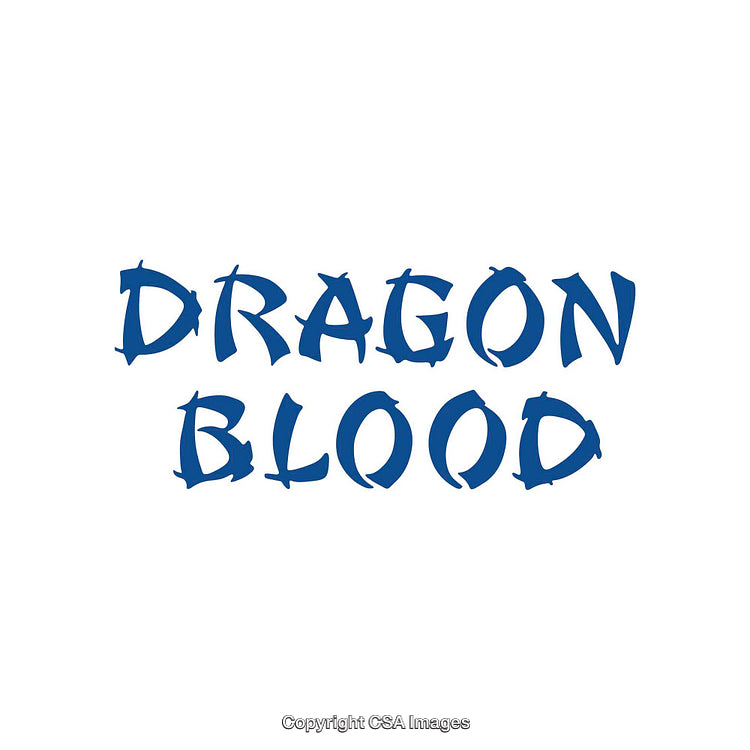 Bold Blue Lettering Display Reading 'Dragon Blood' on White Background