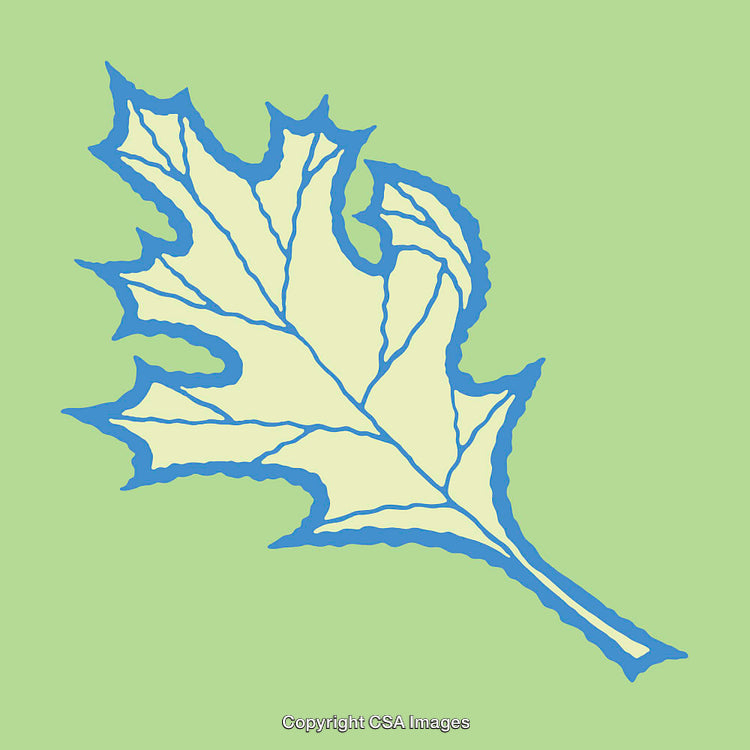 Abstract Color Line Art Featuring Intricate Leaf Design