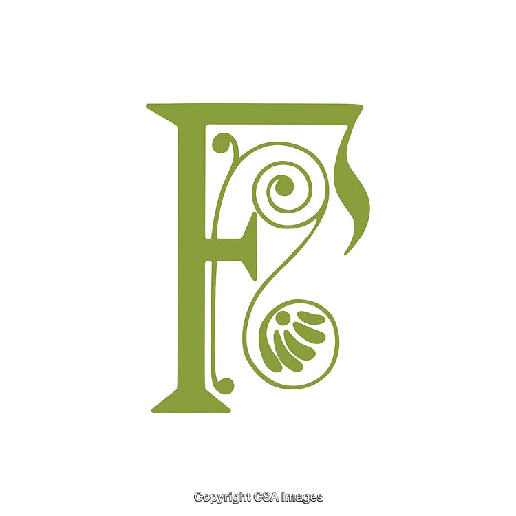 Elegant Green Calligraphic 'E' Letter with Ornate Decorative Details