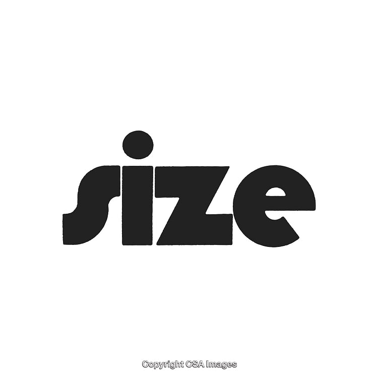Black Minimalist Typeface Displaying the Word 'Size' on a Clean White Background