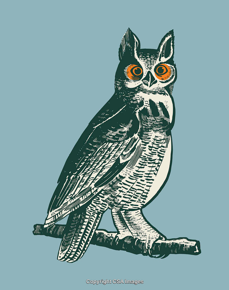 Vintage Line Art Illustration of an Owl with Bright Orange Eyes
