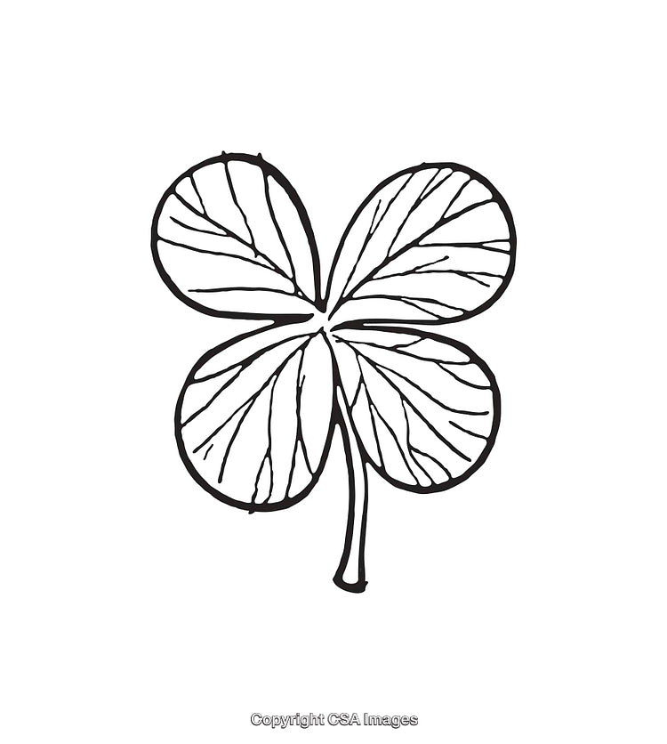 Black and White Line Art of a Four Leaf Clover Illustration