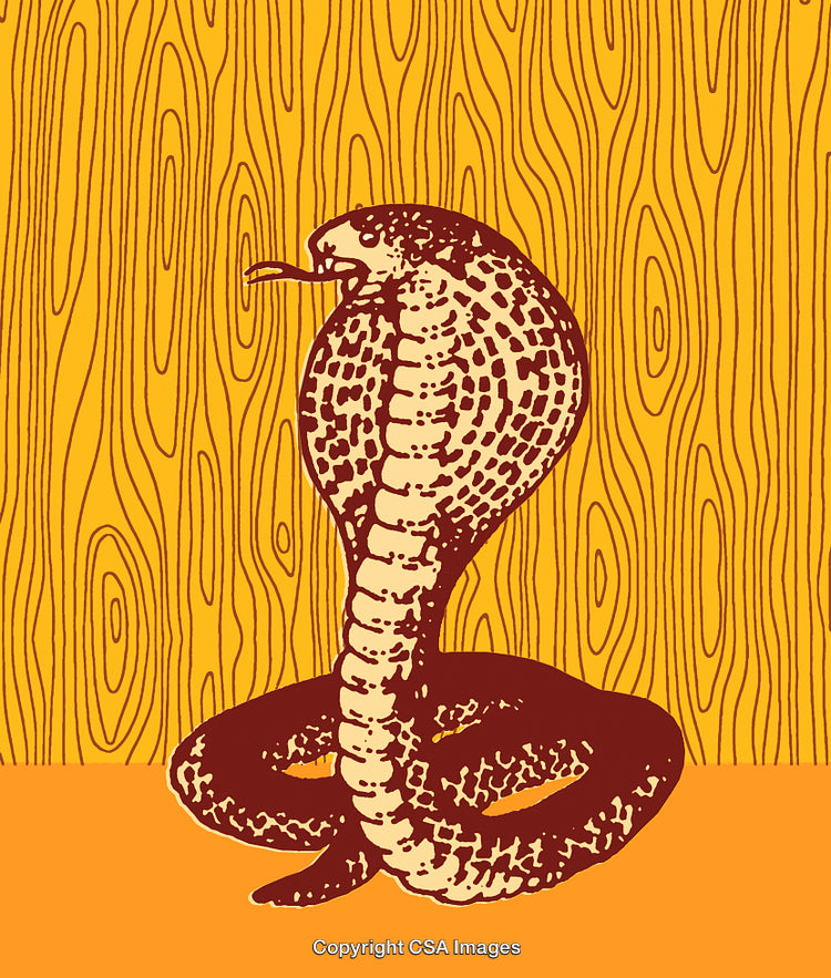 Vintage Illustration of a Cobra Snake Against a Patterned Background
