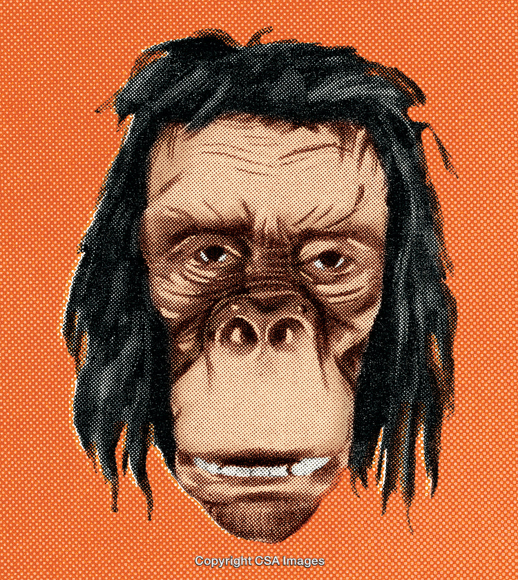Surreal Illustration of a Primate Face with Retro Pop Art Style