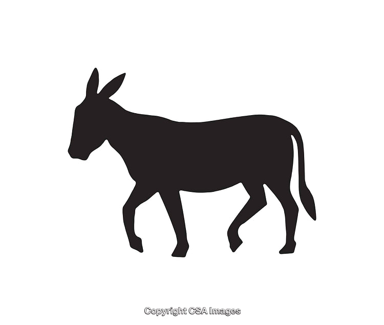 Silhouette of a Donkey in Black Against a White Background