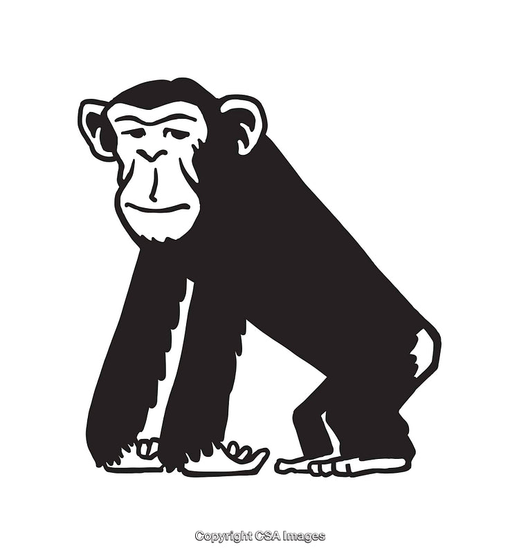 Black And White Illustration of a Thoughtful Chimpanzee