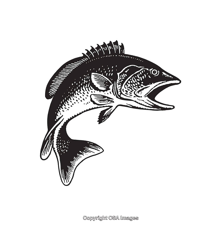 Black And White Line Art Illustration of a Jumping Fish