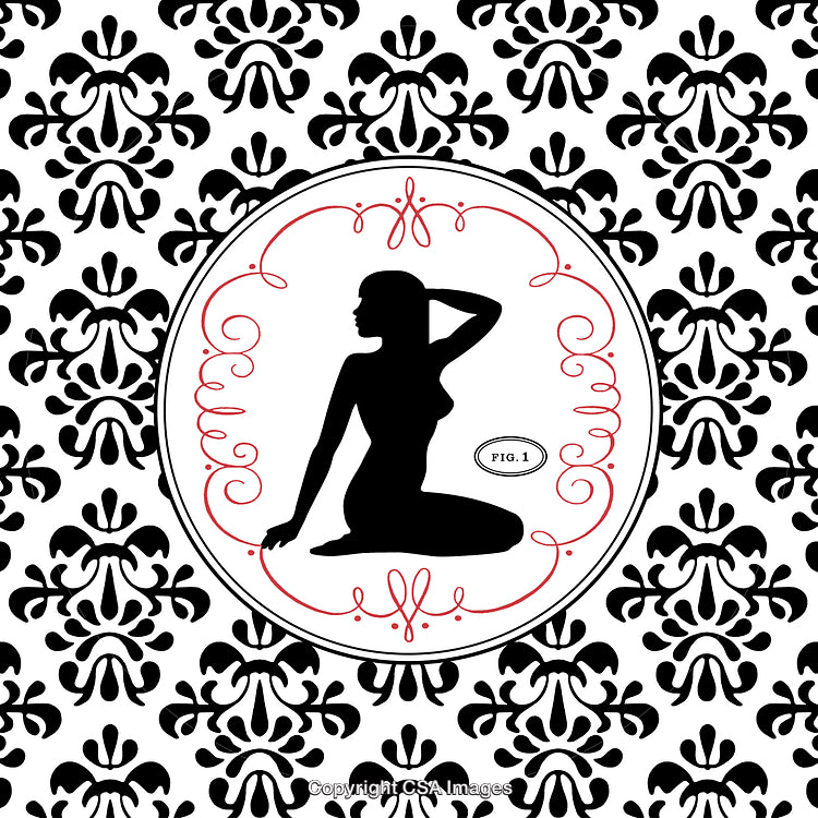 Elegant Silhouette of a Woman on Vintage Baroque Pattern Design