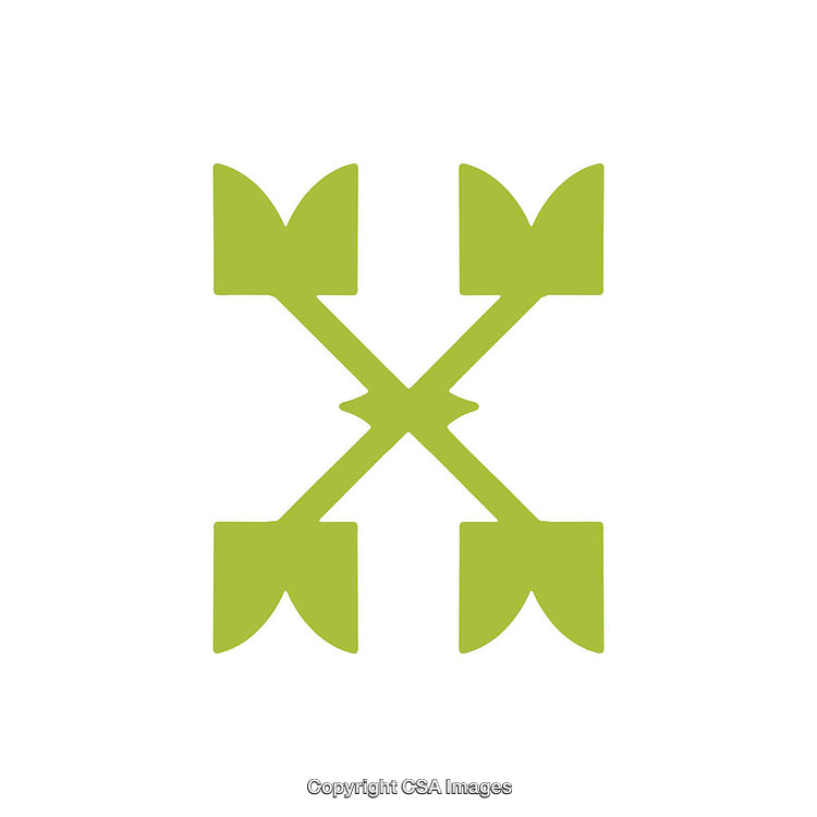 Green Abstract Symbol Representing Letter X on White Background