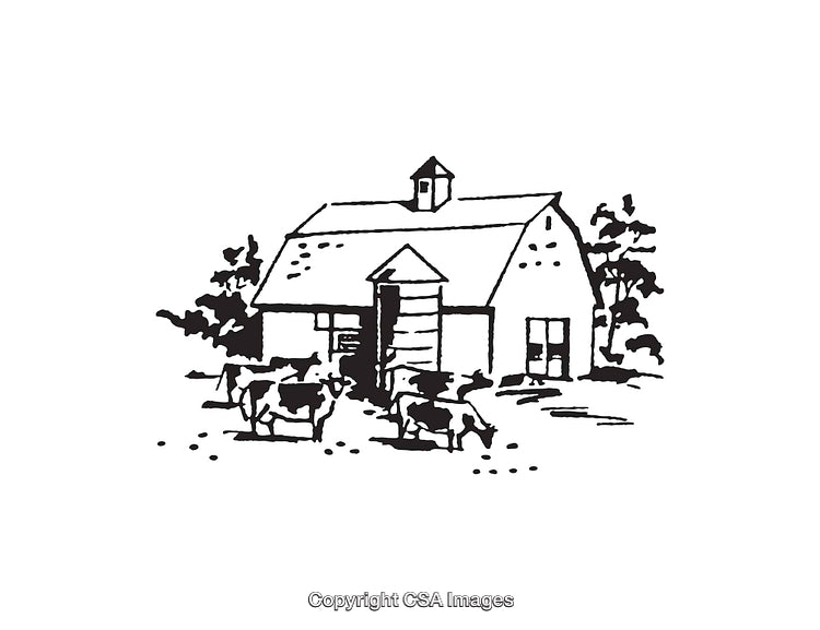 Black and White Illustration of a Barn and Grazing Cows