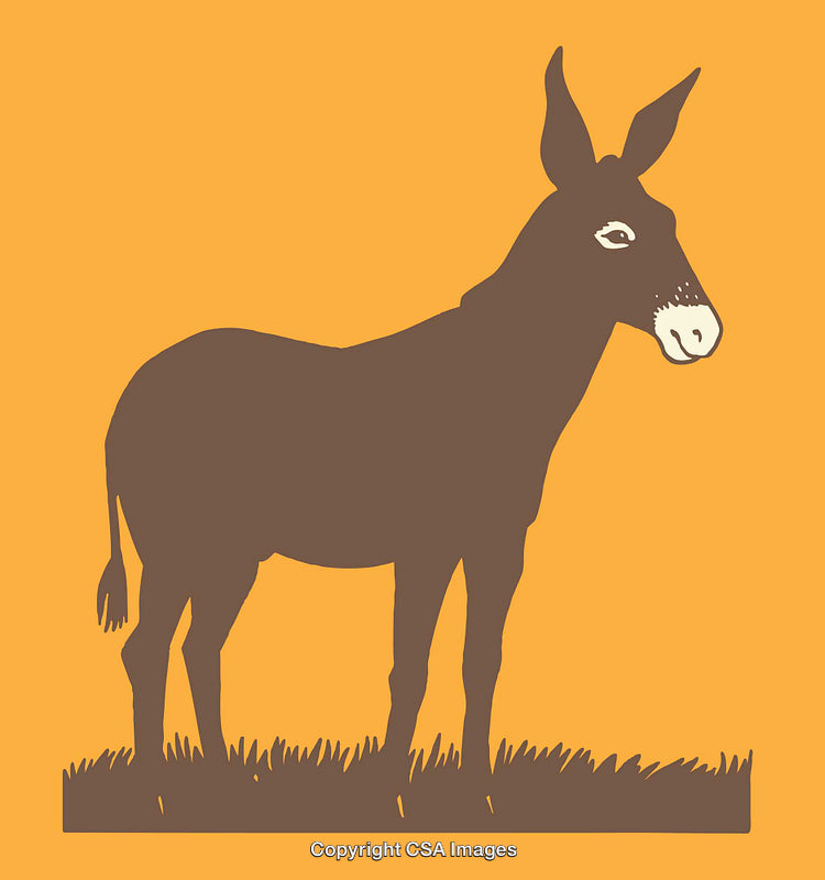 Colorful Line Art Illustration of a Donkey on a Bright Background