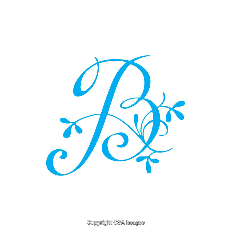 Elegant Calligraphy Letter B with Decorative Flourishes on White Background