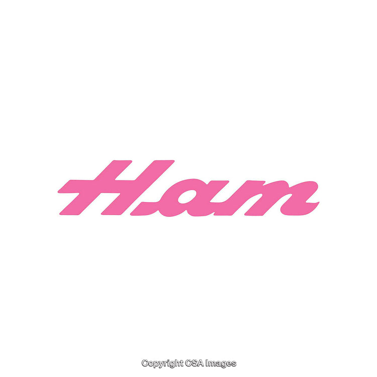 Minimalistic Pink 'Ham' Text Design on White Background