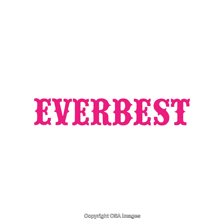 Pink Curly Serif Typography Display Word 'Everbest' on White Background