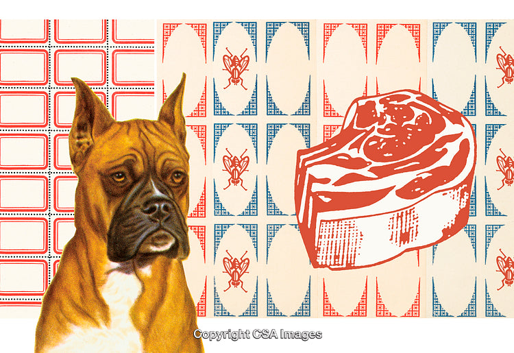 Abstract Illustration Featuring Boxer Dog, Raw Meat, and Geometric Patterns