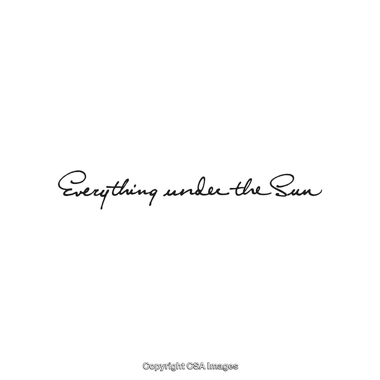 Minimalistic Handwritten Text Design: 'Everything Under the Sun' in Black Ink