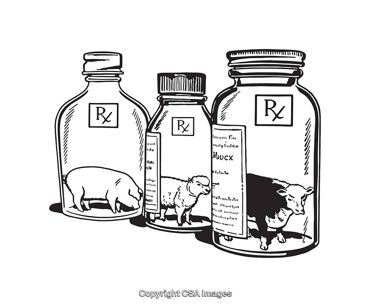Black and White Line Art of Animals in Medicine Jars