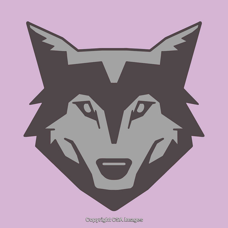 Stylized Gray Wolf Head Design with Pink Background