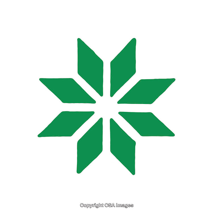 Green Eight-Pointed Geometric Star on a White Background
