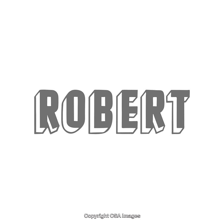 Bold Stylized Text Design Featuring the Name Robert in Gray Theme