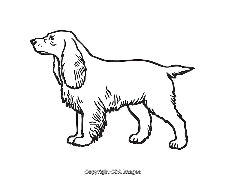 Black and White Line Art of a Dog Standing in Profile View