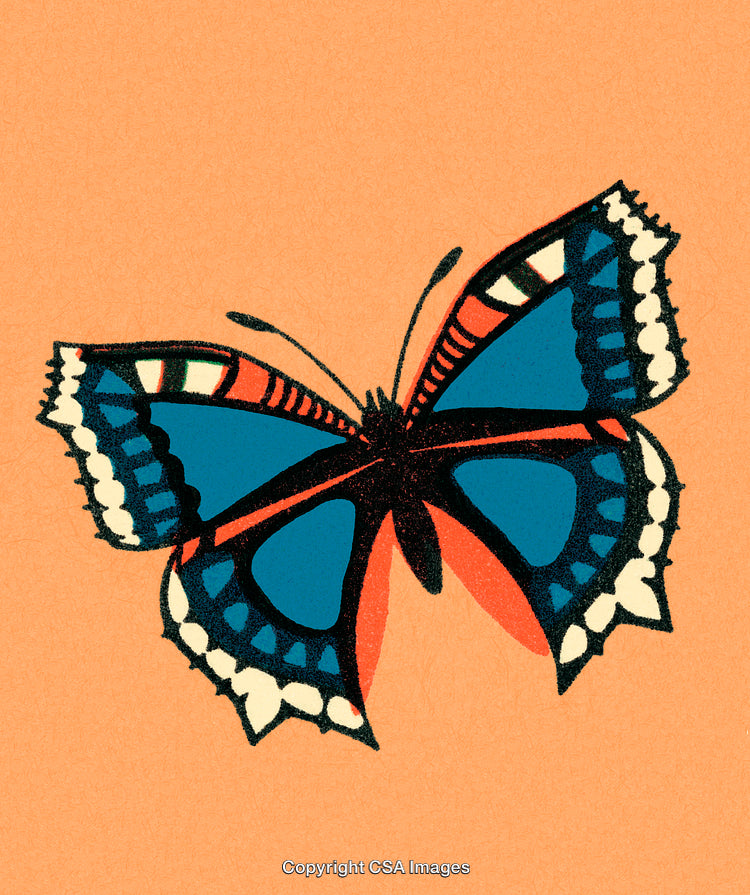Elegant Butterfly Illustration with Vibrant Blue Patterned Wings on Orange Background