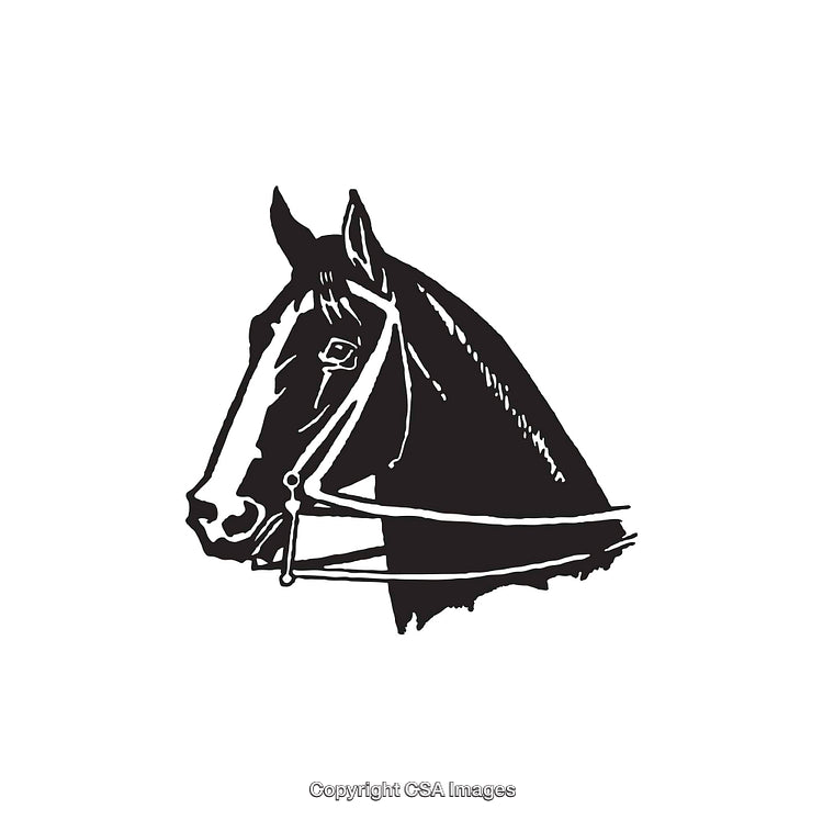 Elegant Black and White Line Art Illustration of a Horse Head