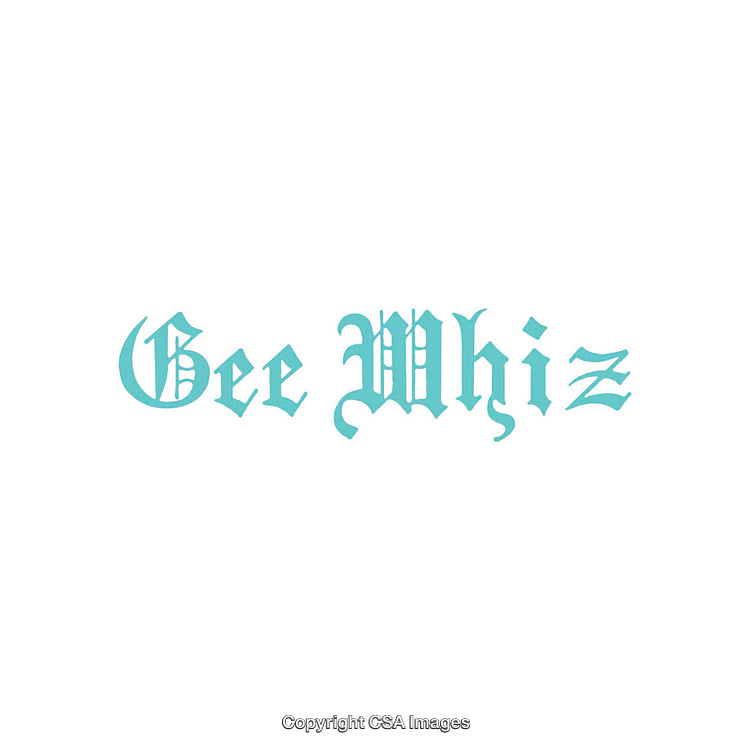 Ornate Text Featuring the Words 'Gee Whiz' in Gothic Font