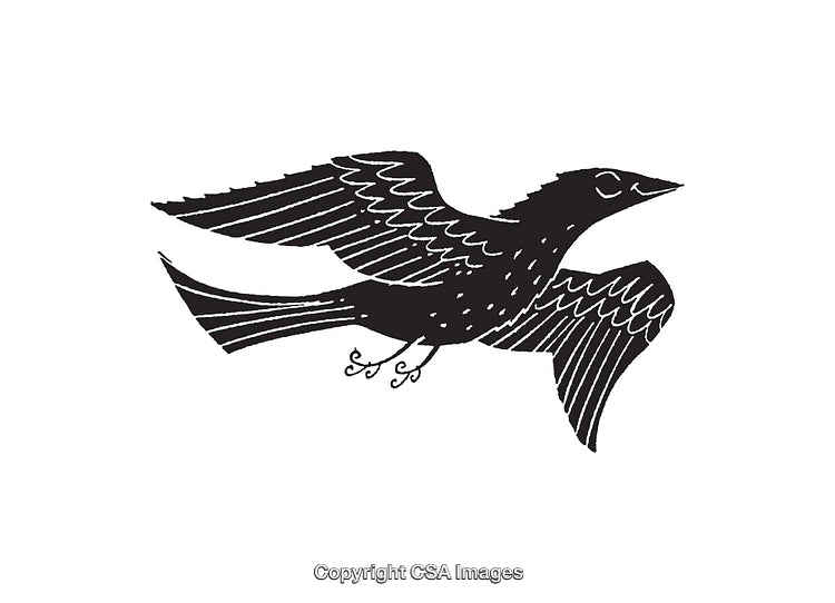 Black and White Line Art Illustration of a Flying Bird
