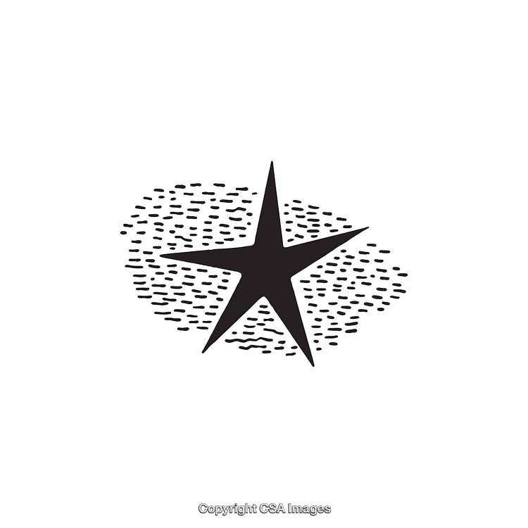 Black and White Star Dingbat Shape With Decorative Abstract Pattern