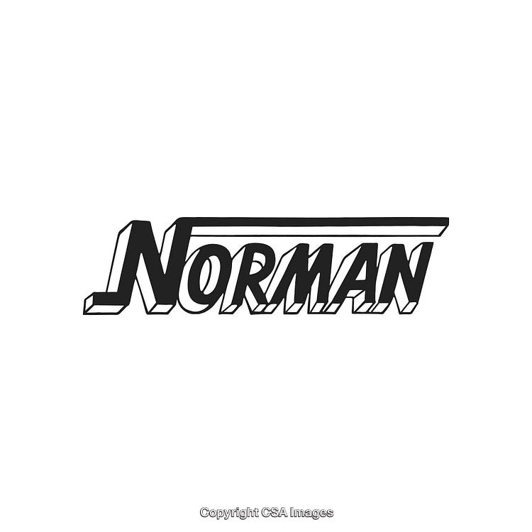 Stylized Black and White Norman Logo Design with Bold Text Style
