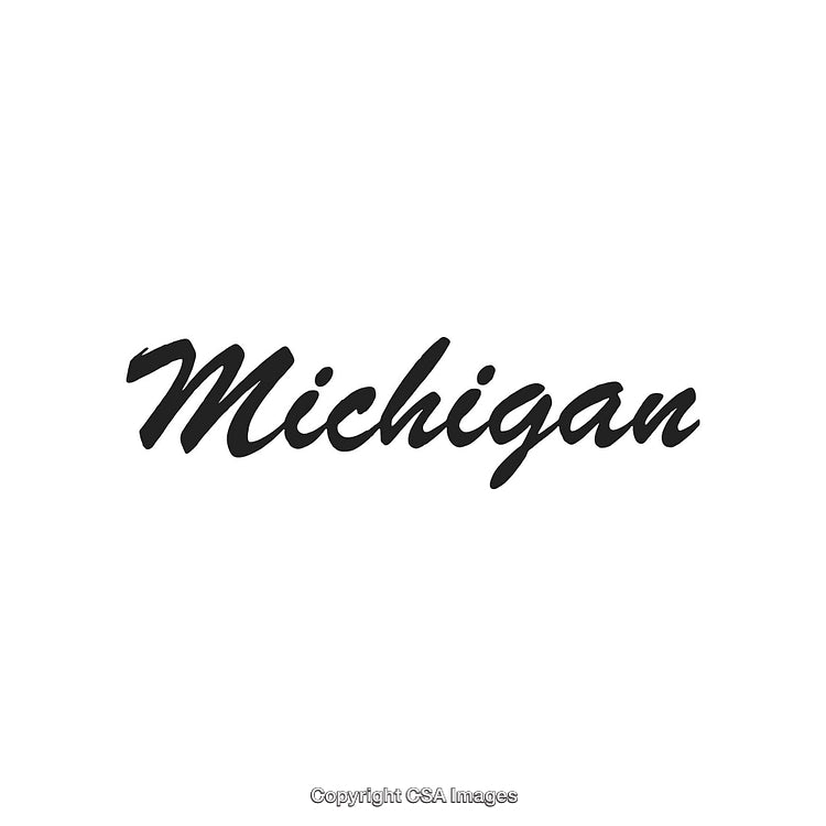 Typography Design Featuring the Word Michigan in Elegant Script