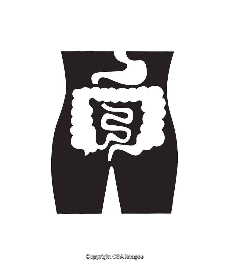 Simplified Icon Illustrating Human Intestines in Monochromatic Design