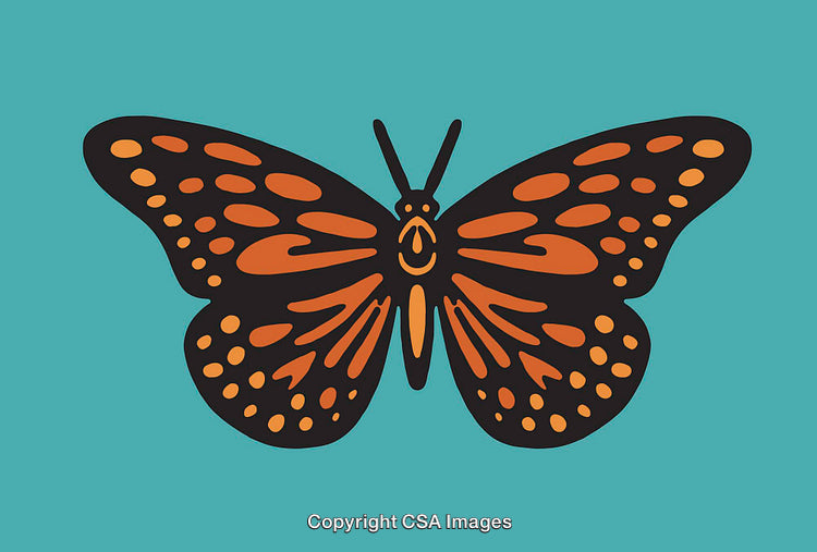 Vibrant Monarch Butterfly Illustration on a Solid Teal Background