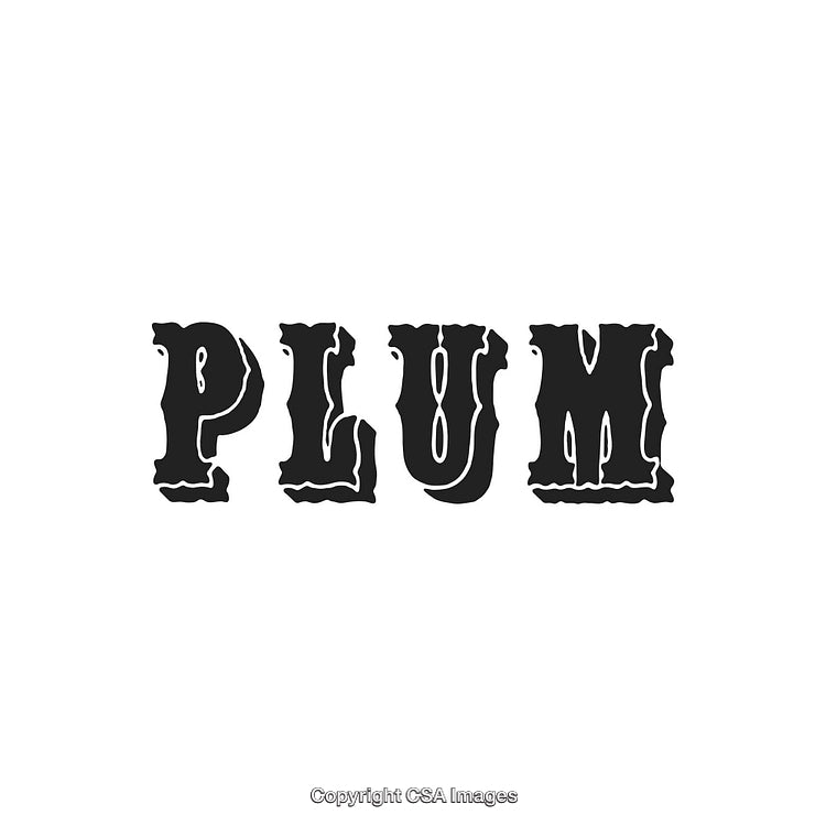 Decorative Black Stylized Text Design Spelling Plum on White Background