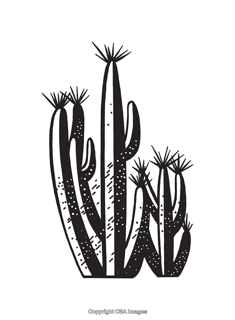 Black and White Cactus Illustration With Artistic Details and Desert Theme