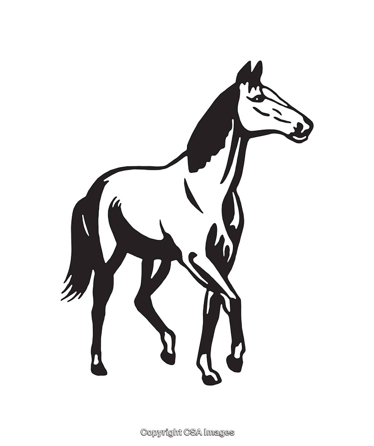 Detailed Black and White Line Art Illustration of a Walking Horse