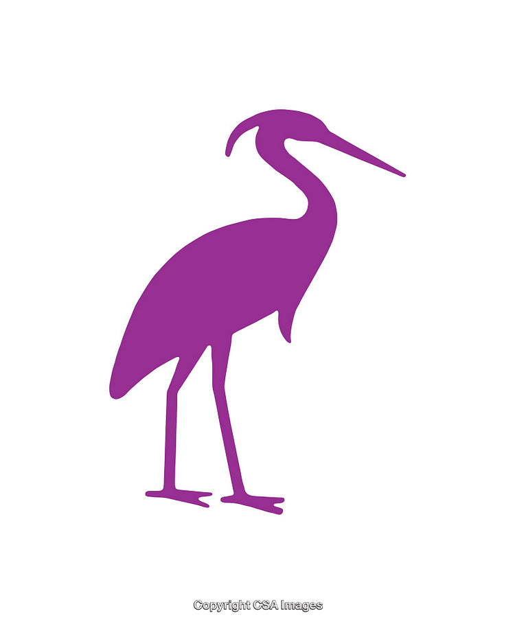 Purple Silhouette of a Heron Bird on a White Background