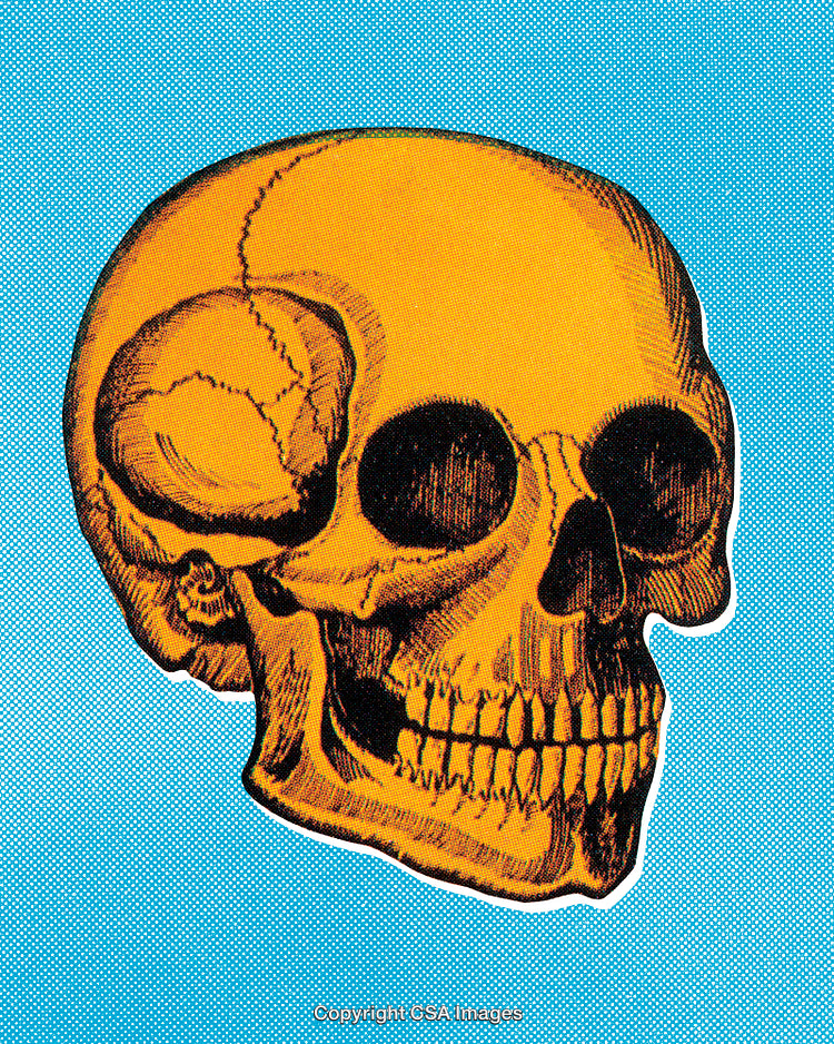 Vintage Stylized Skull Illustration on a Bright Blue Background