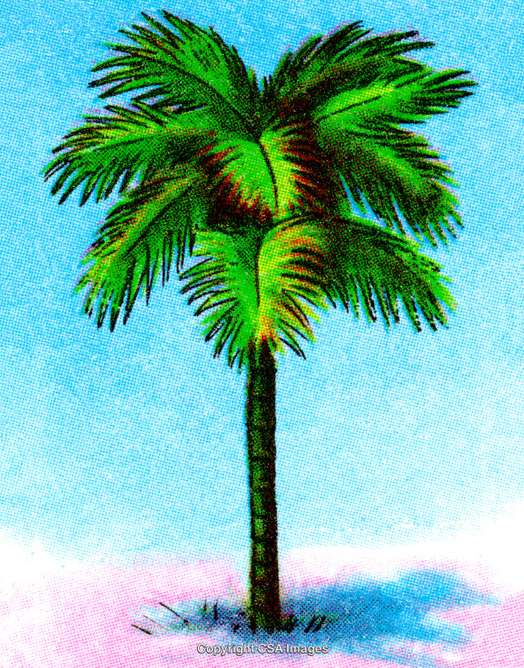 Vibrant Palm Tree Illustration on a Coastal Beach Setting