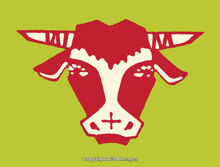 Bold Colored Line Art Illustration of Bull Head on Green Background