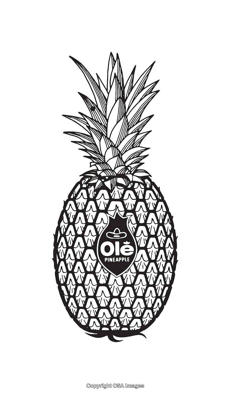 Detailed Black and White Pineapple Line Art Illustration with Text Overlay