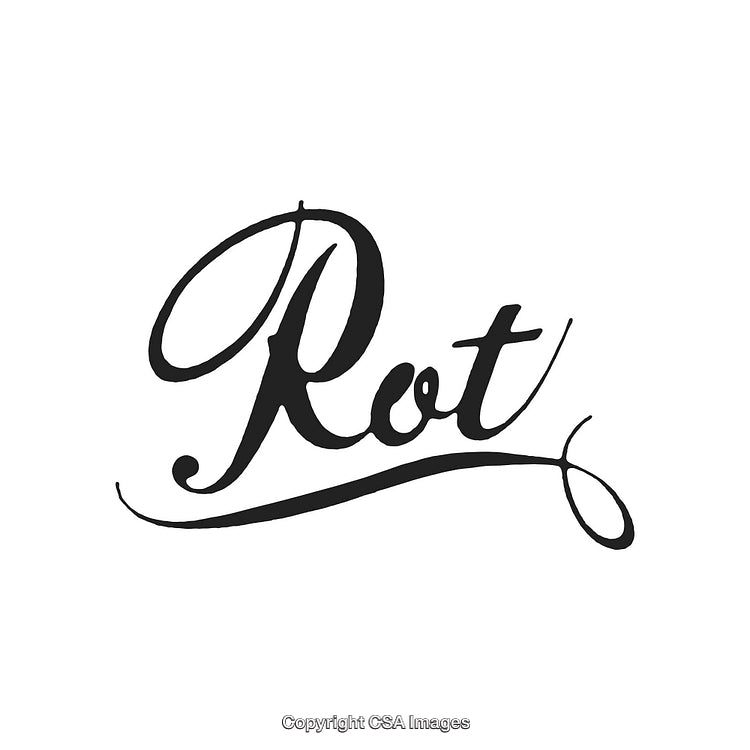 Elegant Calligraphy of the Word Rot on a Clean White Background