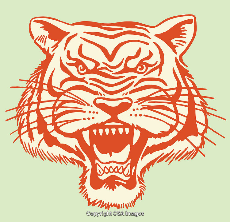 Fierce Tiger Illustration in Bold Orange Line Art on Light Green Background