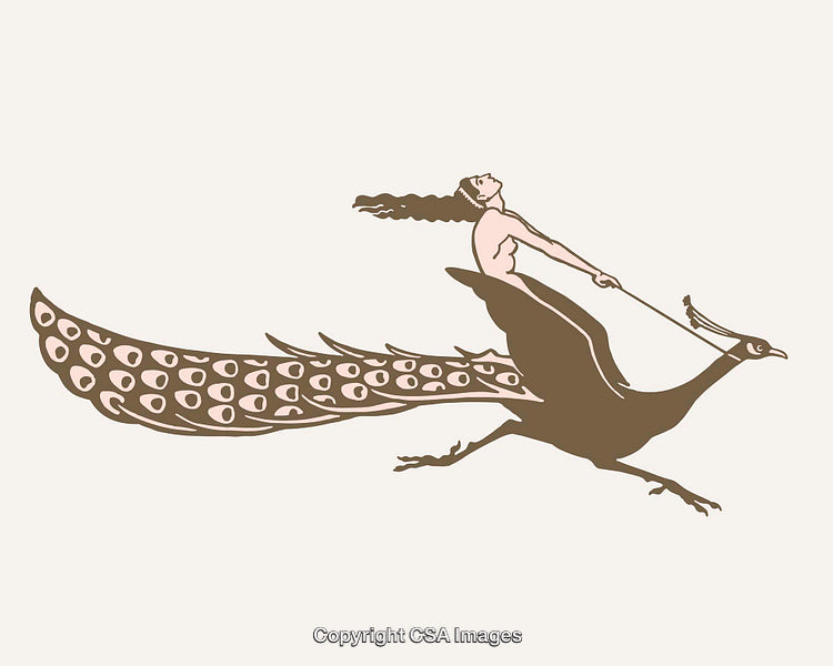 Fantasy Illustration Depicting Woman Riding a Stylized Mythical Bird
