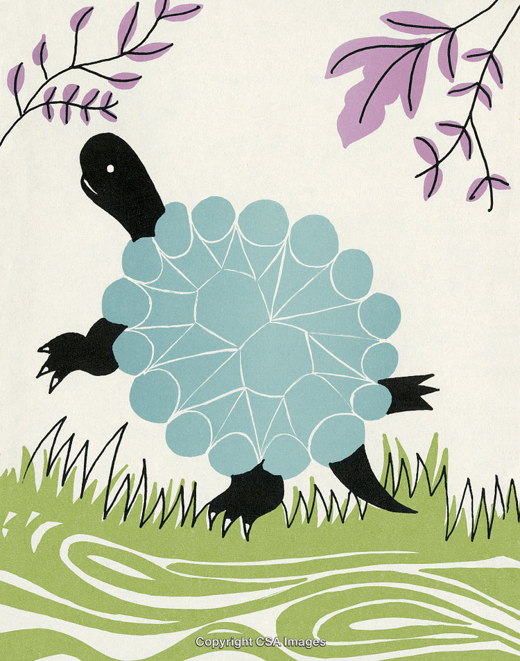 Illustrative Artwork of a Colorful Turtle in a Nature Setting