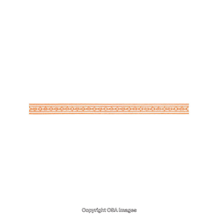Ornamental Orange Patterned Border with Intricate Square Design Details