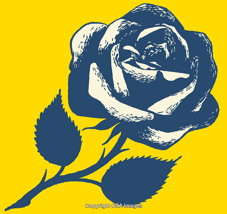 Elegant Blue Rose Line Art with Bold Yellow Background